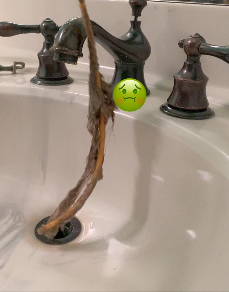 My Bathroom Sink Drain Smells Semis Online