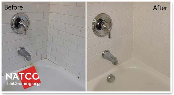 Mold In Bathroom Tile