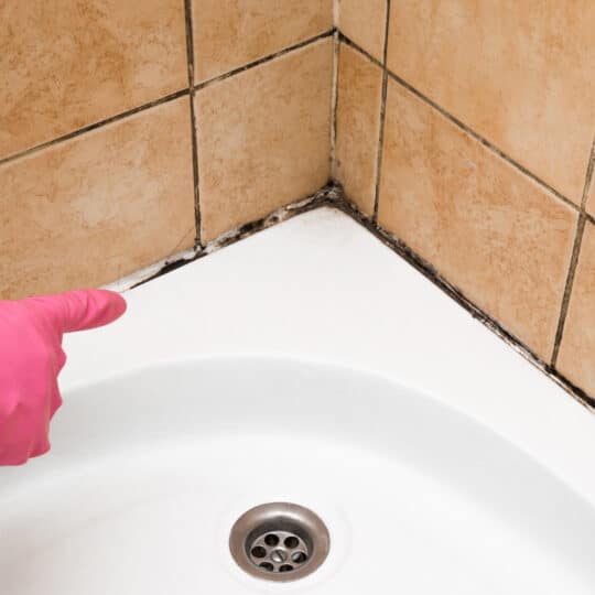 How To Clean Bathroom Tile Mold