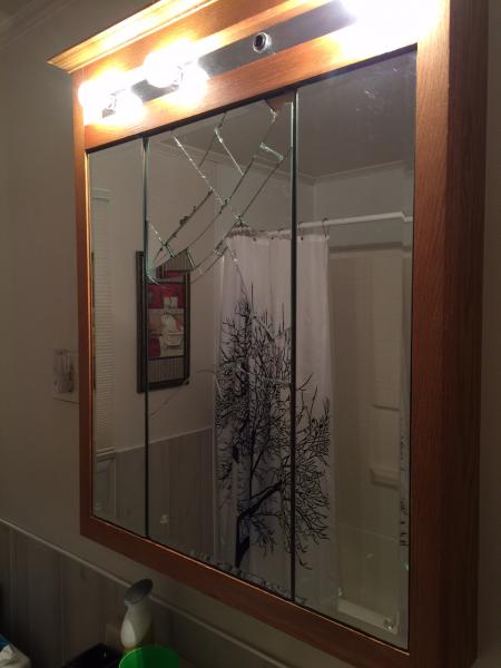 Bathroom Vanity Mirror Door Replacement